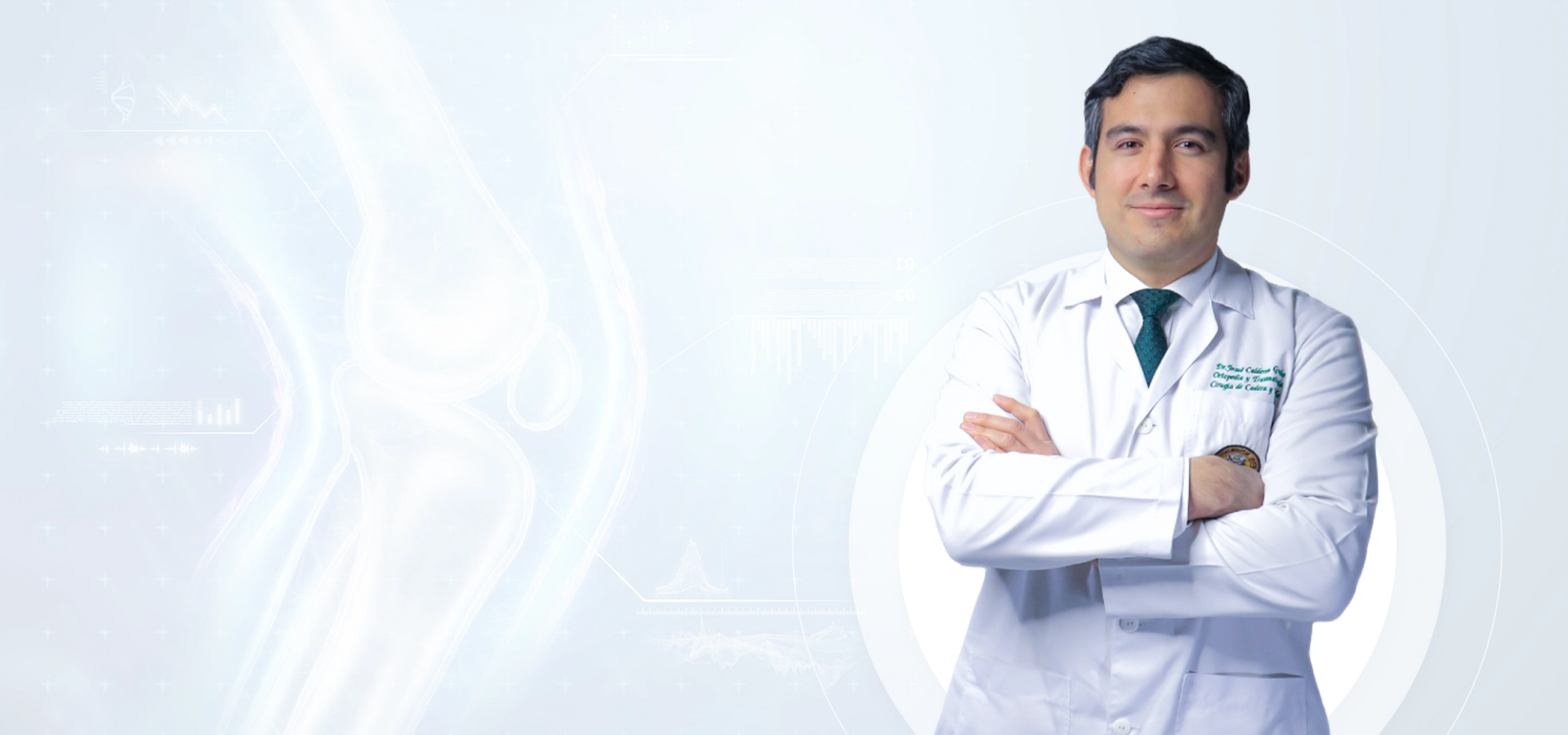 Descripción de la imagen