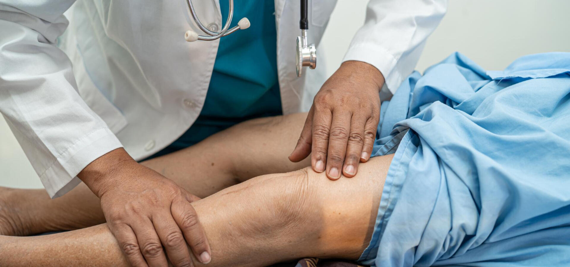 Descripción de la imagen